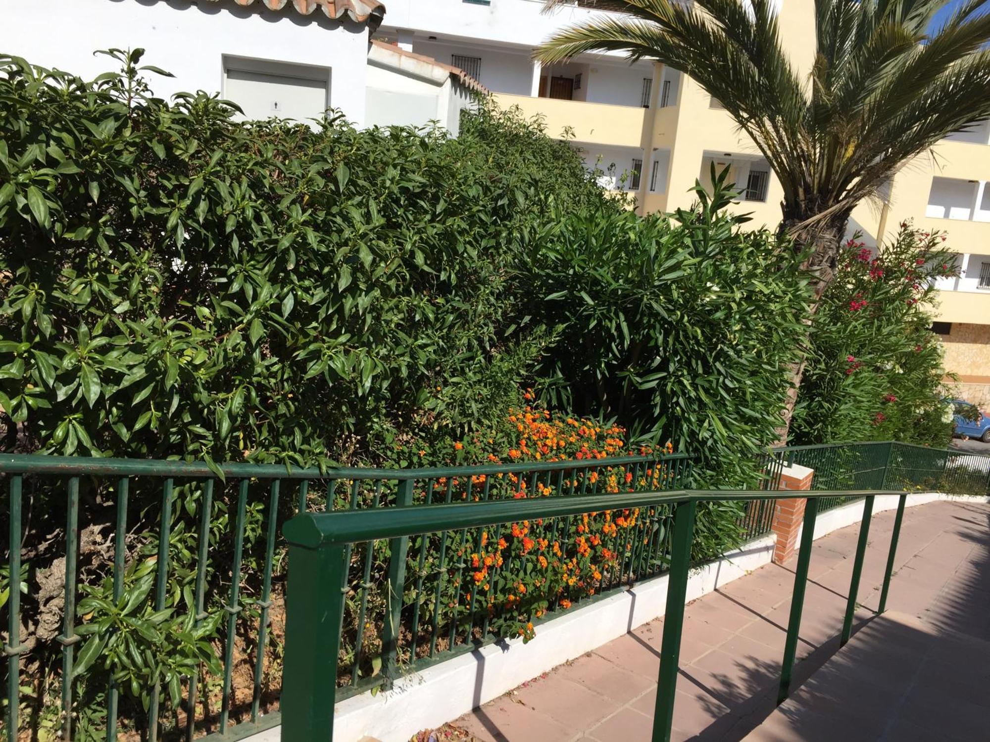 Stella Blanca 24B Apartman Fuengirola Kültér fotó